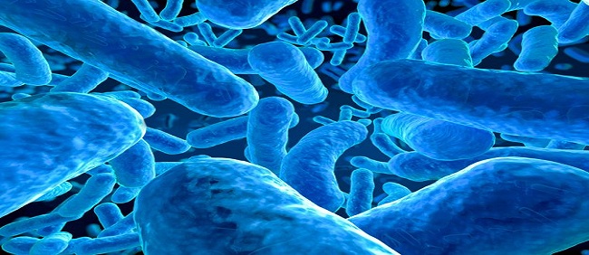 Oms en alerta ante brote de nueva bacteria de transmisión sexual